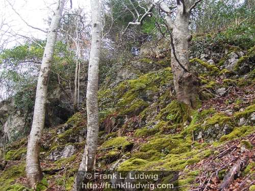 Dooney Rock, Lough Gill, County Sligo